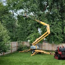 Best Lot and Land Clearing  in West Little River, FL