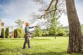 How Our Tree Care Process Works  in  West Little River, FL