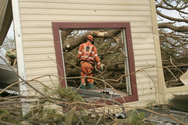Best Emergency Tree Removal  in West Little River, FL